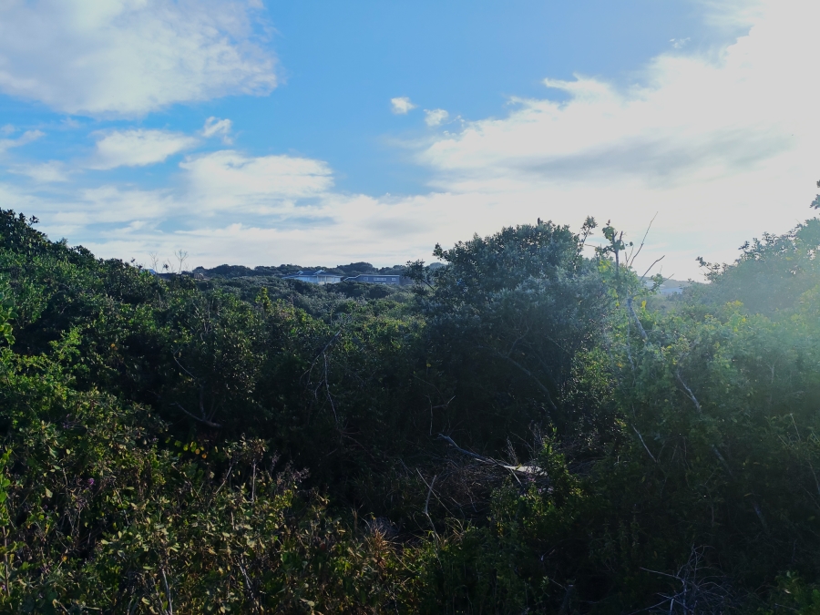 0 Bedroom Property for Sale in Boknesstrand Eastern Cape